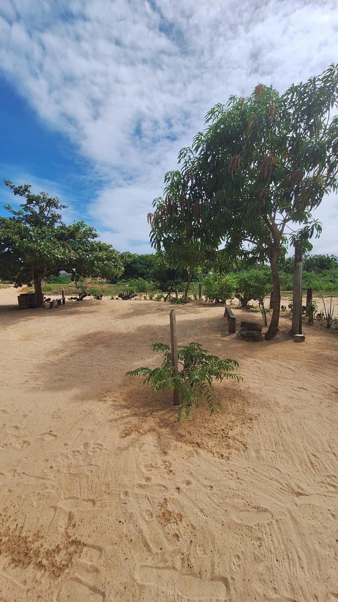 Pousada Maria Sara Jijoca de Jericoacoara Buitenkant foto